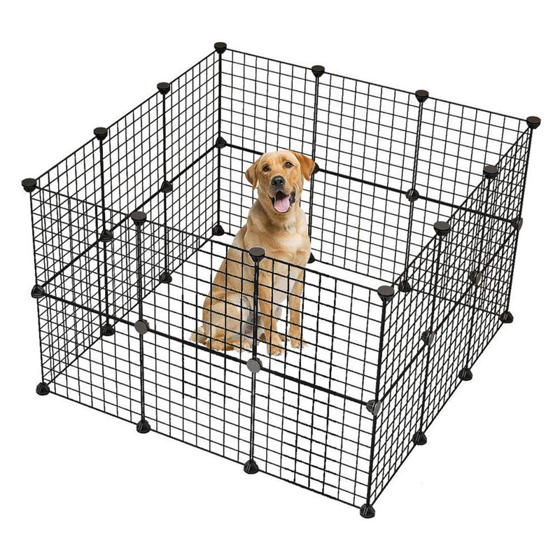 Tucker Murphy Pet Riddick Indoor Small Animal Playpen Wayfair